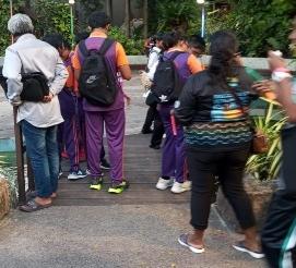 Biodiversity Day with Malé City Council