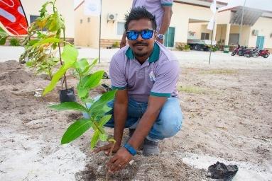 GoGreen 2026 plants 1,000 trees in HA. Dhidhdhoo