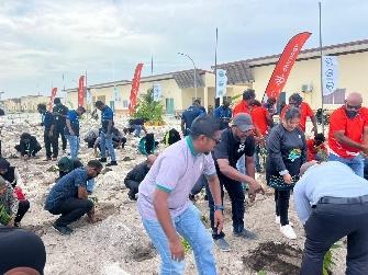 GoGreen 2026 plants 1,000 trees in HA. Dhidhdhoo