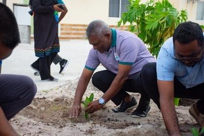 GoGreen 2026 plants 1,000 trees in HA. Dhidhdhoo